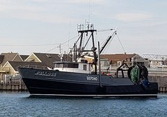 Bull Dog Vessel for bottom trawling