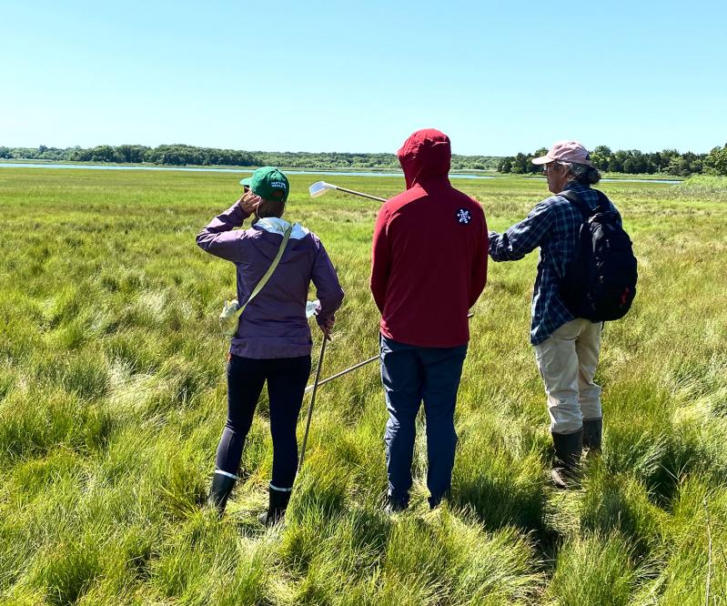 John Aldred, right, surveying the Accabonac saltwater marsh with Kristin Schaven and Will Turman. Glyn Vincent photograph