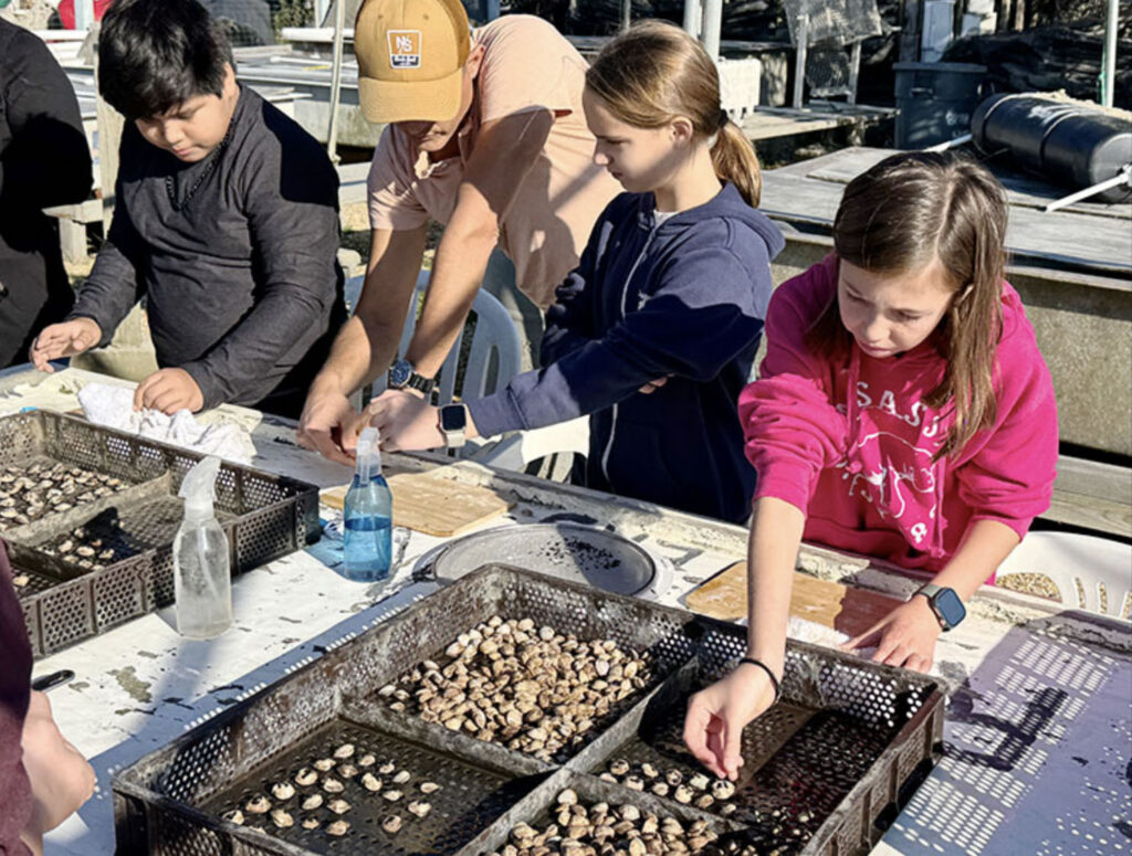 Students in the East Hampton Middle School’s Do Good Be Good Club glued eelgrass seeds to clams at the East Hampton Town Shellfish Hatchery earlier this month. Photo by Durell Godfrey